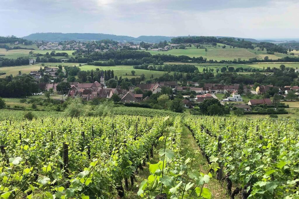 Maison Au Coeur Du Vignoble Jurassien 90 M2 Lavigny Exterior photo
